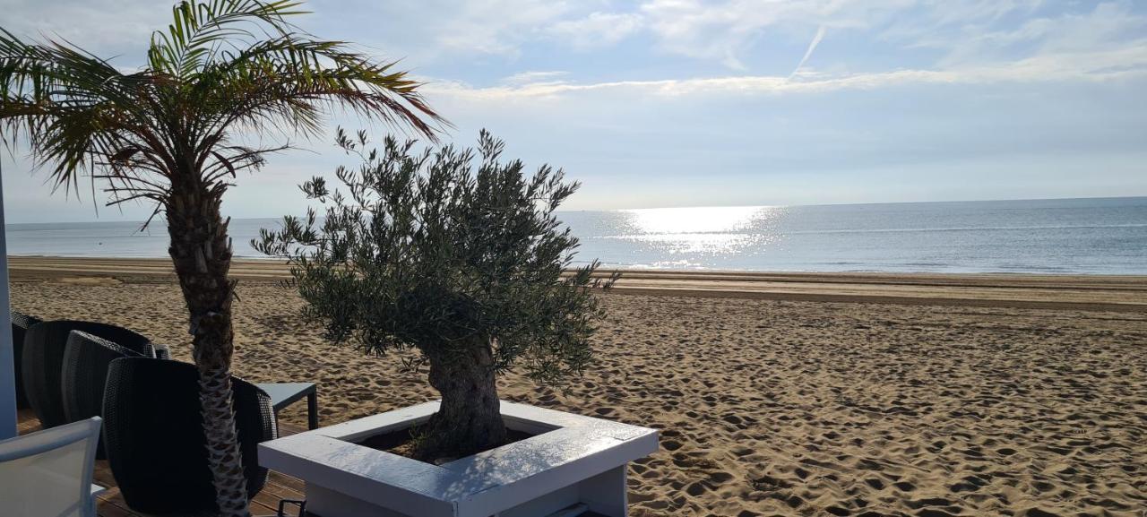 Adria Beach Apartment Cavallino-Treporti Εξωτερικό φωτογραφία